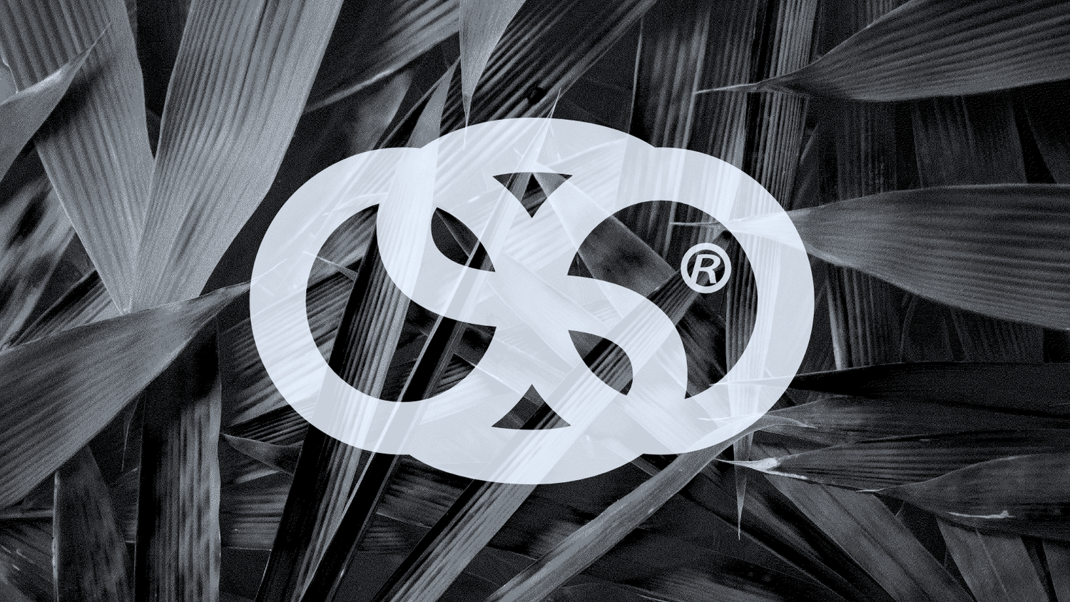 CSMTQ | 01 OSO